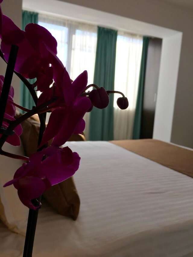 Апарт-отели Elysium Бухарест-27