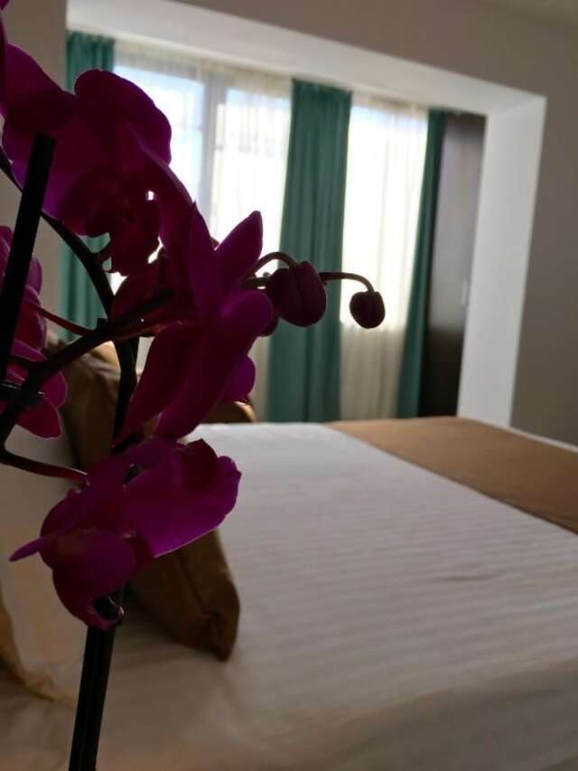 Апарт-отели Elysium Бухарест-63